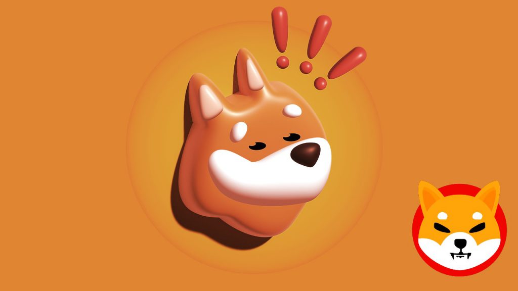 BONK stijgt met 31%, hoe hoog kan de Meme Coin in 2024 stijgen?