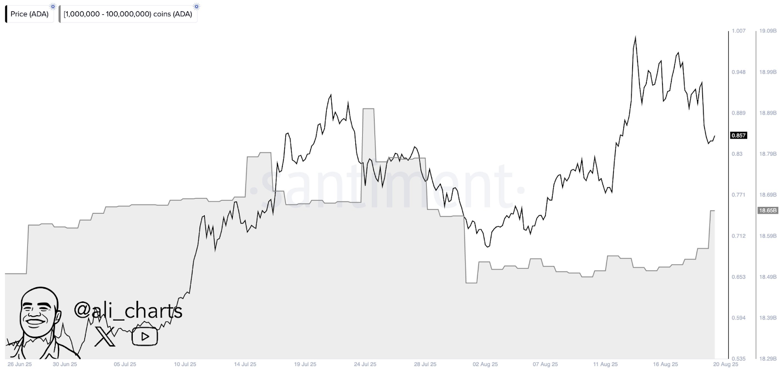 Ad 4nxco9vjcz0 Qntnfy7vtzj19ry3lxiuv wsa5wbana6avhkiqfcdkbhgdpl4jprvs1xf9emxmaqaq Jpzdhpjsceokgczzvzyc8uks3rpsz9ht Ouq5vbjem9fh2h7uikj4ttq? Key = kdqykotlrr svkyjsipw