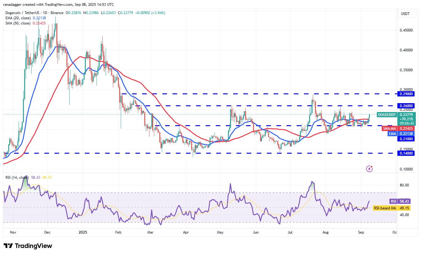 Dogecoin, cryptocurrencies, dollar, bitcoin prijs, XRP, markten, cryptocurrency -uitwisseling, cardano, prijsanalyse, binance munt, marktanalyse, etherprijs, solana, microStrategy, S&P 500, walvis, Michael Saylor, Michael Saylor