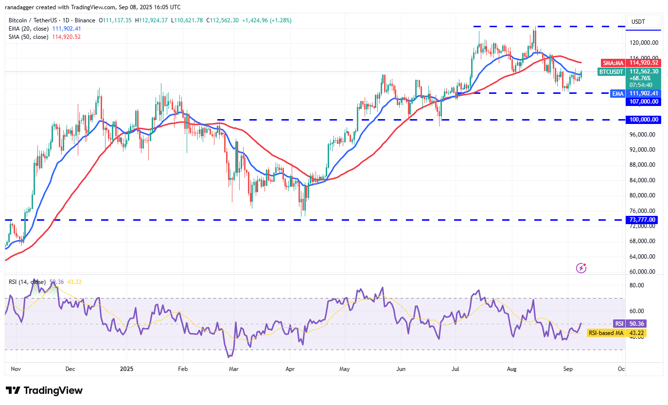 Dogecoin, cryptocurrencies, dollar, bitcoin prijs, XRP, markten, cryptocurrency -uitwisseling, cardano, prijsanalyse, binance munt, marktanalyse, etherprijs, solana, microStrategy, S&P 500, walvis, Michael Saylor, Michael Saylor