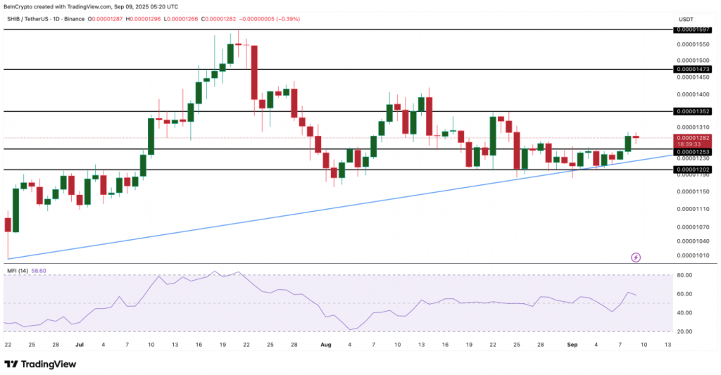 Shib Daily Candlestick Chart met trendanalyse