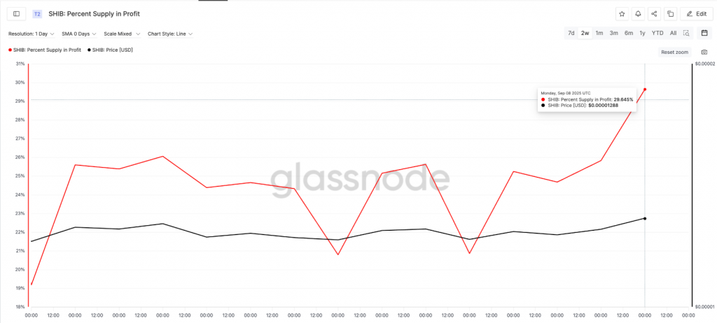 Shib Percent Levert in de winstgrafiek
