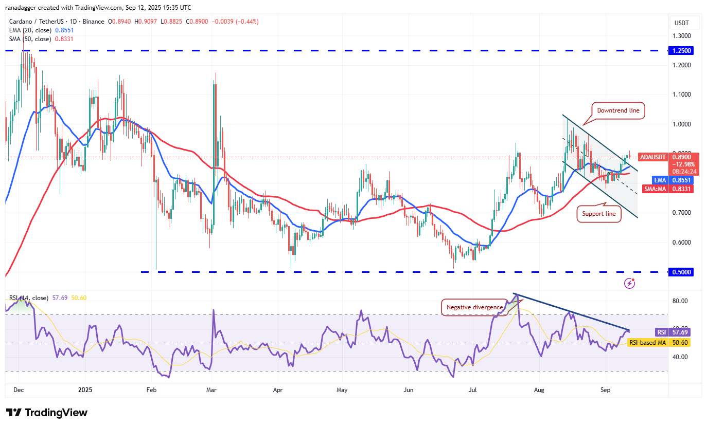 Dogecoin, cryptocurrencies, bitcoin prijs, XRP, markten, cryptocurrency -uitwisseling, cardano, prijsanalyse, binance munt, kettinglink, marktanalyse, etherprijs, solana, bitcoin ETF, ETF, sui