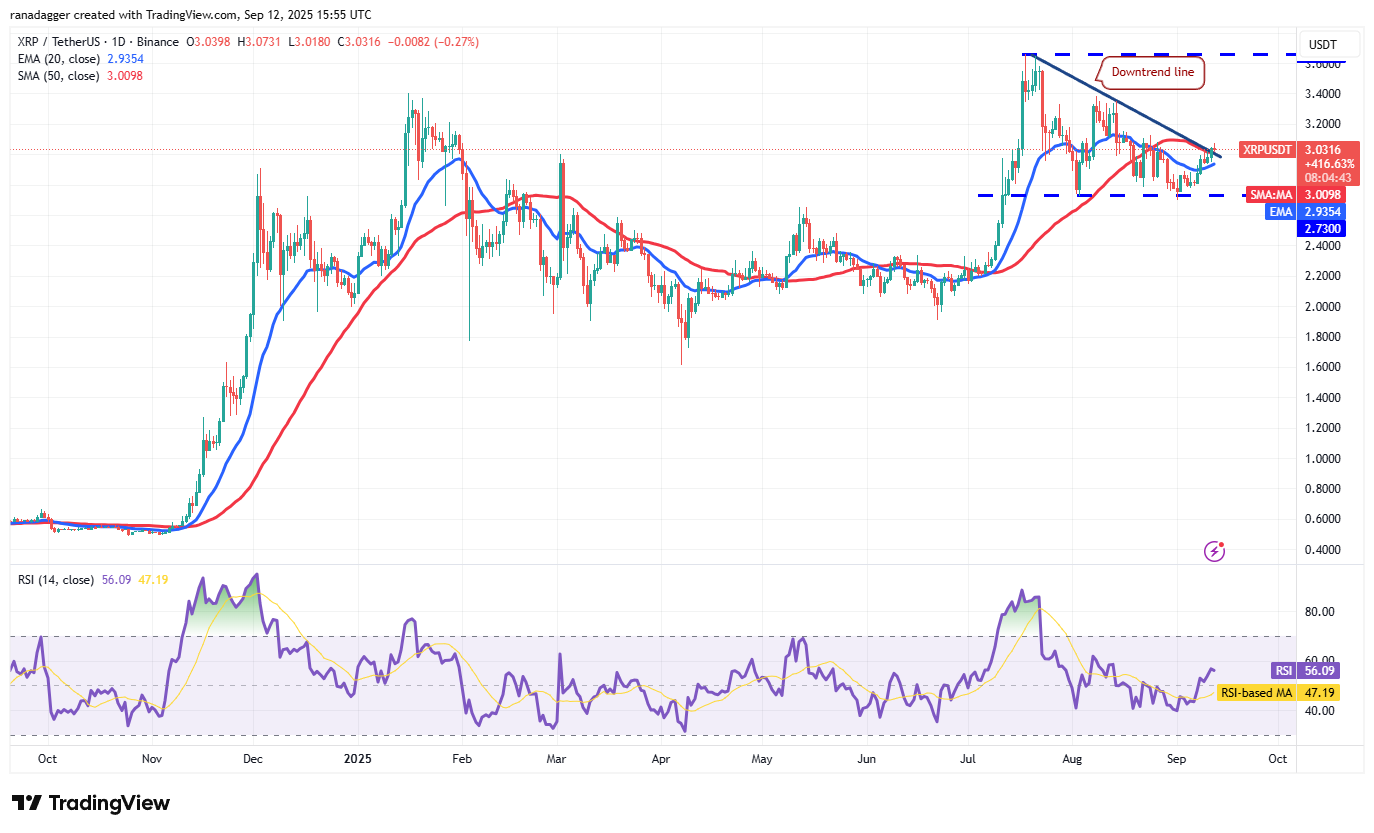 Dogecoin, cryptocurrencies, bitcoin prijs, XRP, markten, cryptocurrency -uitwisseling, cardano, prijsanalyse, binance munt, kettinglink, marktanalyse, etherprijs, solana, bitcoin ETF, ETF, sui