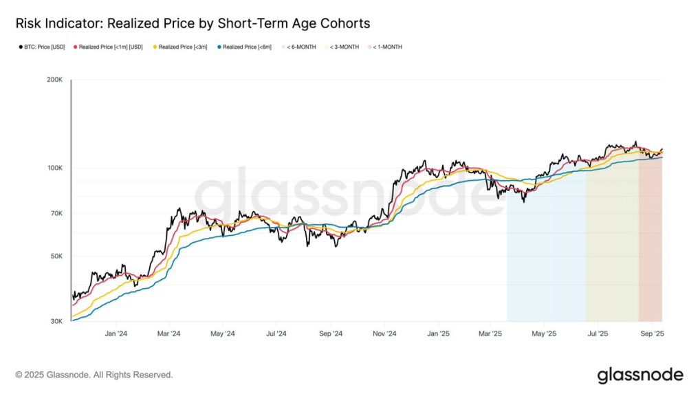 Risico-indicatiekaart met Bitcoin-gerealiseerde prijs per cohorten op korte termijn leeftijd