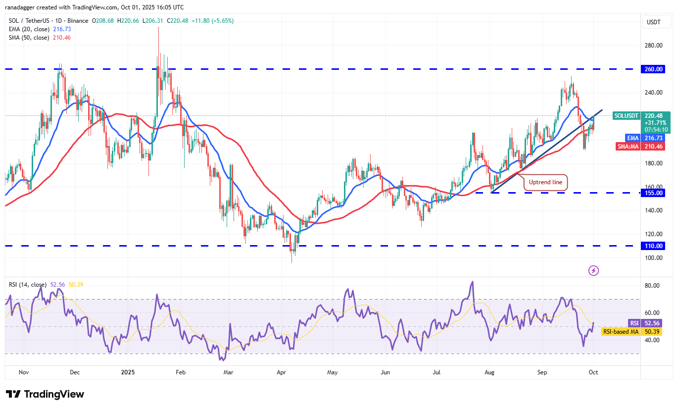 Dogecoin, cryptocurrencies, goud, bitcoin -prijs, XRP, cryptocurrency -uitwisseling, cardano, prijsanalyse, binance munt, kettinglink, marktanalyse, etherprijs, solana, lawine