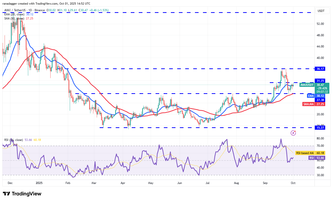 Dogecoin, cryptocurrencies, goud, bitcoin -prijs, XRP, cryptocurrency -uitwisseling, cardano, prijsanalyse, binance munt, kettinglink, marktanalyse, etherprijs, solana, lawine